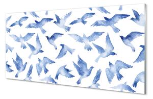 Nástenný panel  maľované vtáky 100x50 cm
