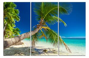 Obraz na plátne - Pláž s palmami 184B (120x80 cm)