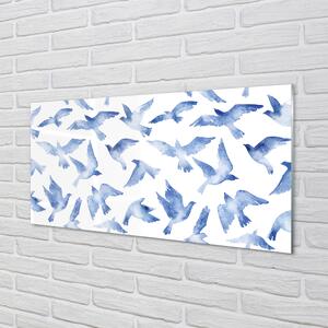 Nástenný panel  maľované vtáky 100x50 cm