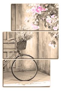 Obraz na plátne - Pristavený bicykel s kvetmi - obdĺžnik 774FC (120x80 cm)