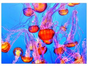 Obraz medúz v mori (70x50 cm)
