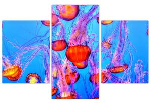 Obraz medúz v mori (90x60 cm)