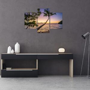Obraz palmy na pláži (90x60 cm)