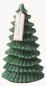 Stĺpová sviečka Cypress & Fir