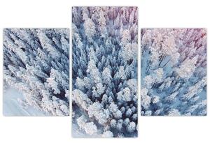 Obraz zasnežených stromov (90x60 cm)