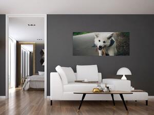 Obraz bieleho psíka (120x50 cm)