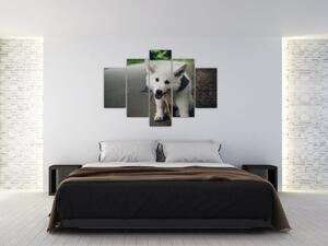 Obraz bieleho psíka (150x105 cm)