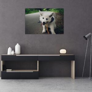 Obraz bieleho psíka (90x60 cm)