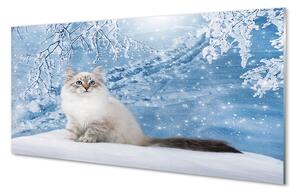 Nástenný panel  mačka zima 100x50 cm