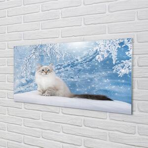 Nástenný panel  mačka zima 100x50 cm