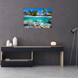 Obraz pláže na tropickom ostrove (70x50 cm)
