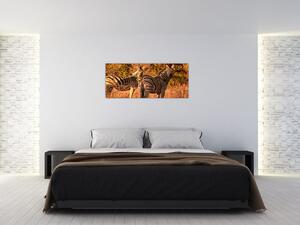 Obraz zebier (120x50 cm)
