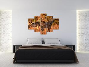 Obraz zebier (150x105 cm)