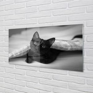 Nástenný panel  Mačka pod prikrývkou 100x50 cm