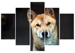 Obraz psa (150x105 cm)