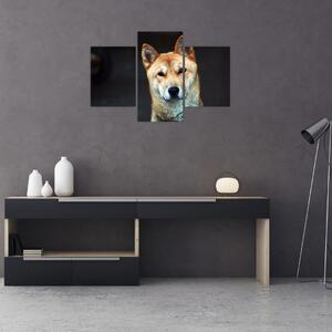 Obraz psa (90x60 cm)