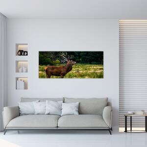 Obraz jeleňa (120x50 cm)