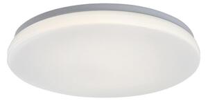 Rabalux 77140 - LED kúpeľňové stropné svietidlo so senzorom LOWAR 24W/230V 4000K IP44