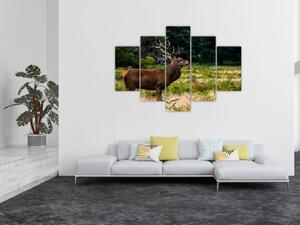 Obraz jeleňa (150x105 cm)