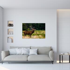 Obraz jeleňa (90x60 cm)