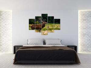 Obraz jeleňa (150x105 cm)