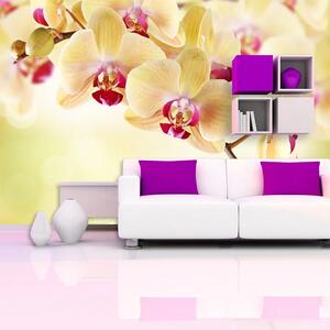Sablio Tapeta Orchidea 2 - 125x75 cm
