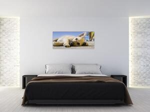 Obraz ležiaceho šteňaťa (120x50 cm)