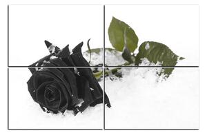 Obraz na plátne - Ruža na snehu 1103QE (90x60 cm)