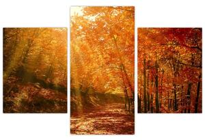 Obraz jesenného lesa (90x60 cm)