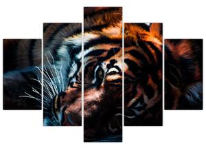 Obraz ležiaceho tigra (150x105 cm)