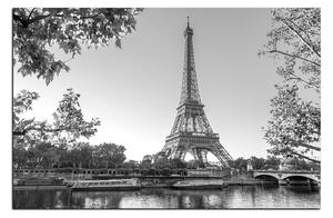 Obraz na plátne - Eiffel Tower 1110QA (90x60 cm )