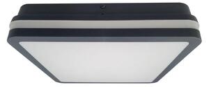LED Kúp. stropné svietidlo ELLÉ LED/24W/230V 3000/4000/6500K 26x26 cm IP54 antr