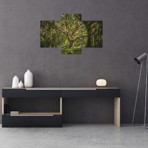 Obraz stromov (90x60 cm)