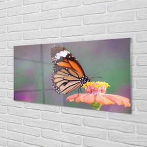Nástenný panel  Farebný motýľ kvetina 100x50 cm