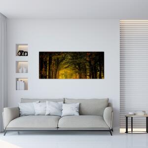 Obraz lesu (120x50 cm)