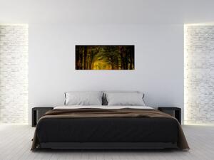 Obraz lesu (120x50 cm)