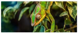 Obraz chameleóna (120x50 cm)