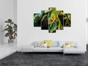 Obraz chameleóna (150x105 cm)
