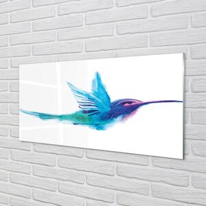Nástenný panel  maľované papagáj 100x50 cm