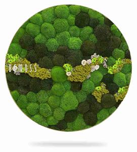 Machový obraz kruh BOLMOSS COSMO Lime - Priemer 40 cm
