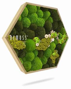 Machový Hexagon BOLMOSS COSMO Lime - Priemer 30 cm (v najširšom mieste šesťuholníka)