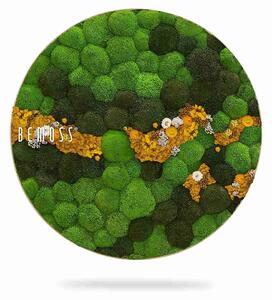 Machový obraz kruh BOLMOSS COSMO Yellow - Priemer 40 cm