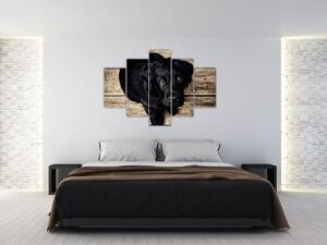 Obraz čierneho šteňaťa (150x105 cm)