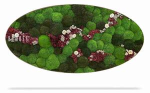 Machový obraz Elipsa BOLMOSS COSMO Burgundy - 50 x 100 cm