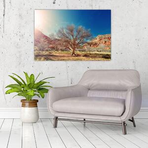 Obraz stromu v púšti (90x60 cm)