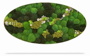 Machový obraz Elipsa BOLMOSS COSMO Lime - 50 x 100 cm