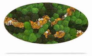 Machový obraz Elipsa BOLMOSS COSMO Yellow - 50 x 100 cm