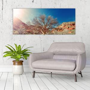 Obraz stromu v púšti (120x50 cm)
