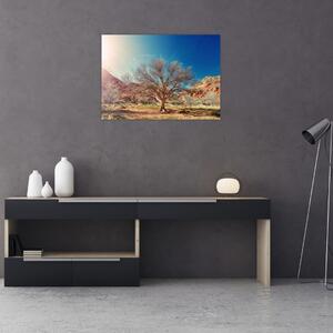 Obraz stromu v púšti (70x50 cm)