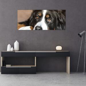 Obraz psa (120x50 cm)